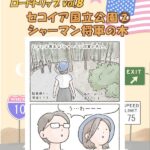 セコイア国立公園を半日で楽しめるだけ楽しむ②【シャーマン将軍の木】