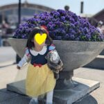 プリンセス好き3歳がはまった！Disney+（ディズニープラス）の作品一覧